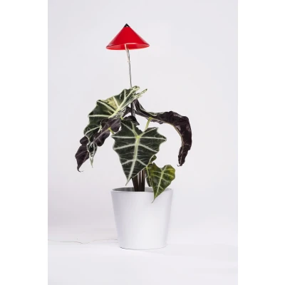 Afbeelding van Venso LED plantenlamp SUNLiTE vast ingebouwd 7 W Neutraalwit 1 stuk(s)