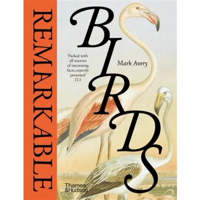 Image de Remarkable Birds