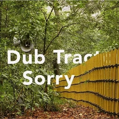 Afbeelding van Dub Tractor Sorry (CD)