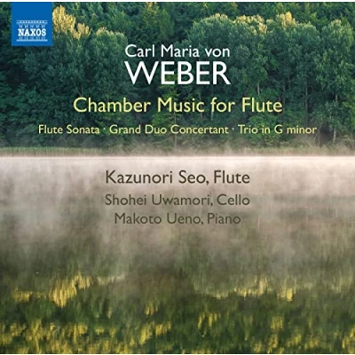 Afbeelding van Kazunori Seo Shohei Uwamori Makoto Ueno Chamber Music For Flute (CD)