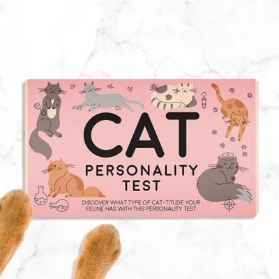 Afbeelding van Katten personaliteitstest 100 kaarten