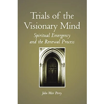 Afbeelding van Trials Of The Visionary Mind
