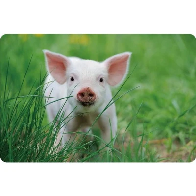 Afbeelding van 4x Placemat Piglet 28,5x43,5cm onderlegger tafeldecoratie placemats kunststof Big Varkentje