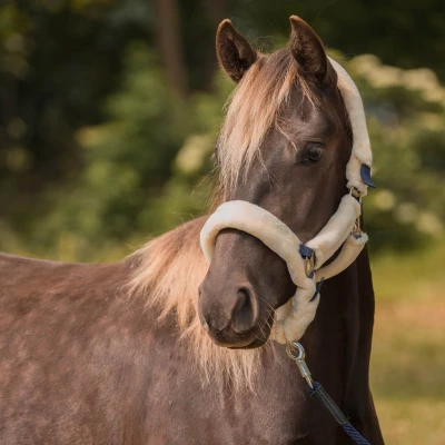 Afbeelding van Horka Halster met Bont Bescherming Blauw Cob