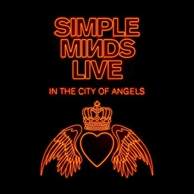 Afbeelding van Live In The City