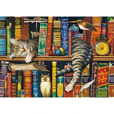 Afbeelding van Schmidt Spiele 59991 Charles Wysocki, Frederick, de literaire man, puzzel 1000 stukjes