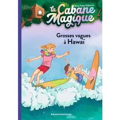 Image de La cabane magique, Tome 23