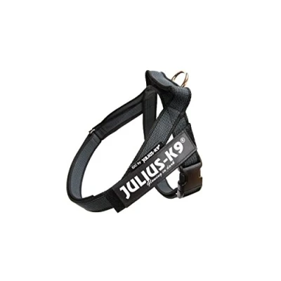 Afbeelding van Julius K9 IDC®Color&amp;Gray® riemtuig, M maat 0, neon