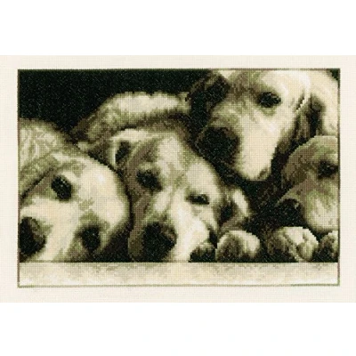 Afbeelding van Labradors borduren (pakket)