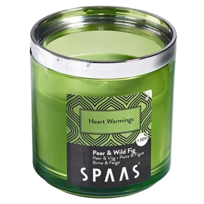 Afbeelding van Spaas Geurkaars Silver Ring Heart Warmings Branders Ø76x76 mm Lichtgroen per stuk Ca. 30 H