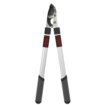 Afbeelding van Takkenschaar aambeeld telescopisch premium 66 99 cm TalenTools