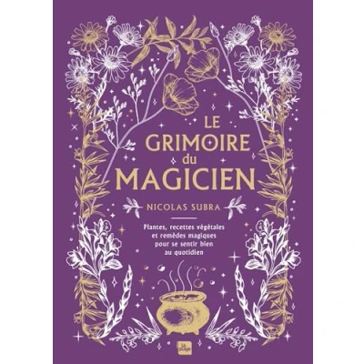 Afbeelding van LE GRIMOIRE DU MAGICIEN 200 RECETTES REMEDES ET RITUELS