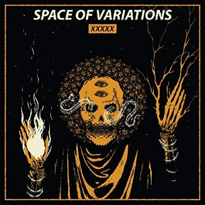 Afbeelding van Space Of Variations XXXXX (CD Single)