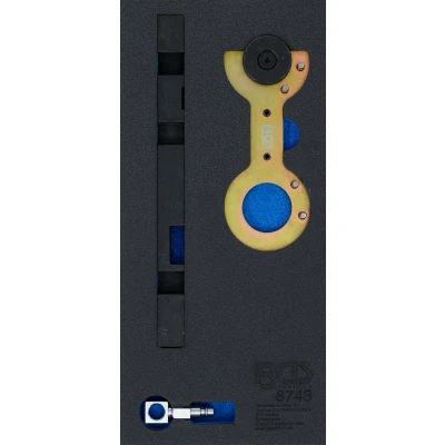 Afbeelding van BGS Dubbel Vanos afstelgereedschap voor BMW M52TU / M54 M56