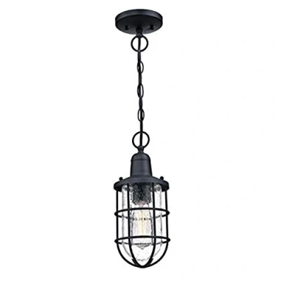 Afbeelding van Westinghouse Lighting 6334840 Crestview enkele lamp buiten hanglamp, zwarte textuur afwerking met helder korrelig glas