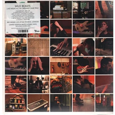 Afbeelding van Wild Beasts Last Night All My Dreams Came True (2 LPs)