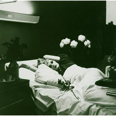 Afbeelding van Antony And The Johnsons I Am A Bird Now (CD)
