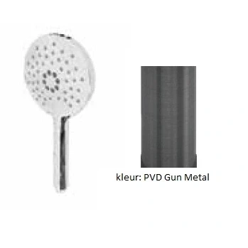 Afbeelding van Waterevolution ronde handdouche met 3 standen PVD Gun Metal T1620RGME