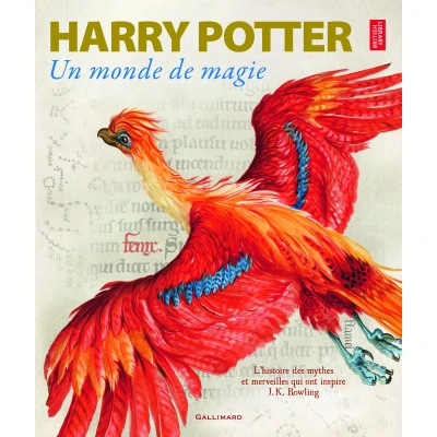 Afbeelding van HARRY POTTER Un monde de magie