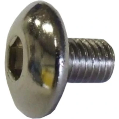 Afbeelding van Gazelle Inbusbout M5 X 8 Mm Rvs Chroom Per Stuk