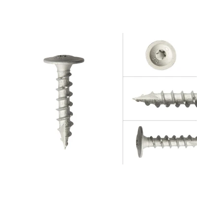 Afbeelding van Wovar Paalhouderschroef Verzinkt 10 x 50 mm Doos stuks