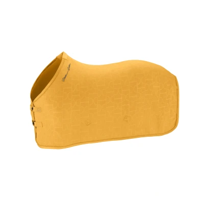 Image de Eskadron Couvertures Anti Transpiration Fleece Stamp Bit Platinum &#039;25 Golden YellowVendu par Agradi