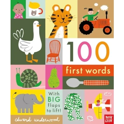 Afbeelding van 100 First Words