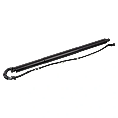 Afbeelding van FEBI BILSTEIN 179300 Gasveer achterklep 658,6 Links achter Met elektromotor