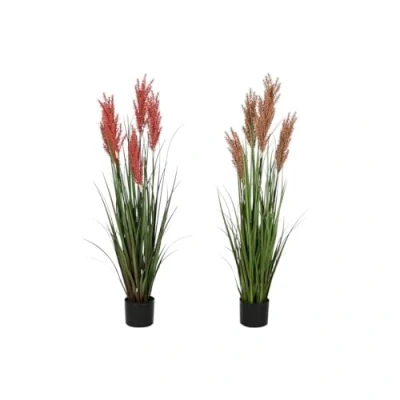 Afbeelding van Decoratieve plant Home ESPRIT PVC Polyethyleen 35 x 120 cm (2 Stuks)