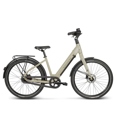 Afbeelding van Extreme RM Automatic ebike 2 speed Greige
