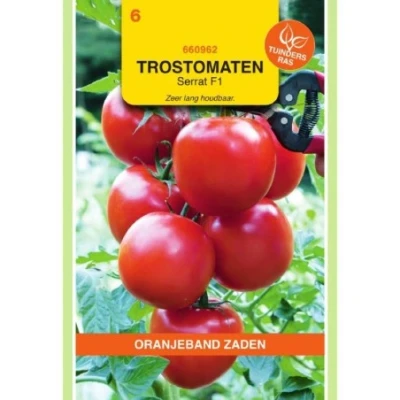 Afbeelding van Tomaten serrat f1