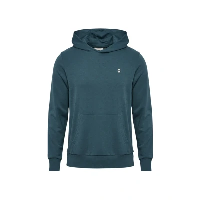Afbeelding van Hummel Pulse CO Regular Hoodie, Heren, Maat: XL, Stargazer