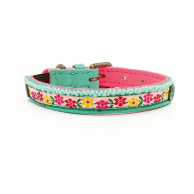 Afbeelding van Dwam Kitty Kattenhalsband 22 27x1 cm Multi Color