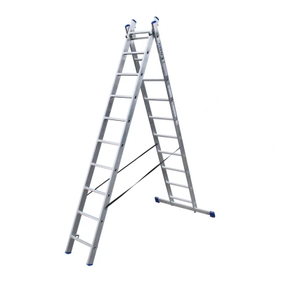 Afbeelding van Alumexx 2 delige Reformladder 2x10 Sporten