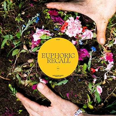 Afbeelding van Braids Euphoric Recall (LP)