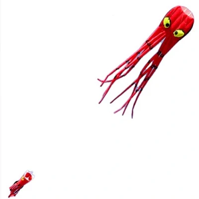 Afbeelding van Wolkenstürmer Otto Octopus Kindervlieger