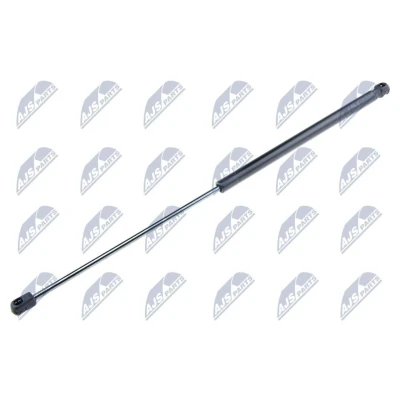Afbeelding van NTY AE CT 027 Gasveer achterklep 630 627