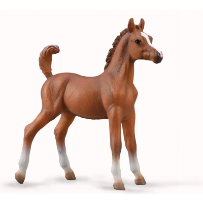 Afbeelding van COLLECTA Arabische Veulen 1:20