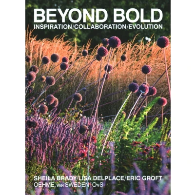 Afbeelding van Beyond Bold: Inspiration, Collaboration, Evolution