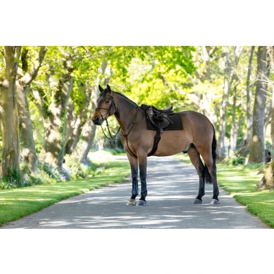 Image de LeMieux Pillow Saddlepad Black