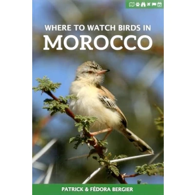 Afbeelding van Where to Watch Birds in Morocco