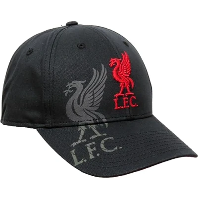 Afbeelding van Liverpool FC Obsidian Mass MVP Premiership Team Pet, zwart.