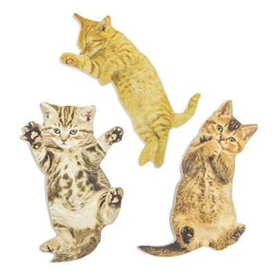 Afbeelding van Kat Nagelvijl (Assorti)