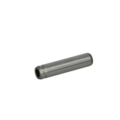 Afbeelding van Klepgeleider FRECCIA G11464