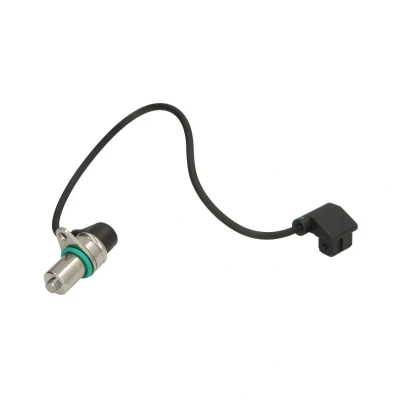 Afbeelding van Nokkenassensor DELPHI SS11198