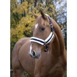 Afbeelding van Norton Halster Confort Navy Pony