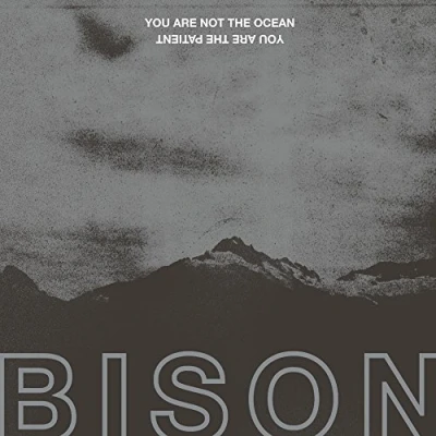 Afbeelding van Bison You Are Not the Ocean Patient (LP)