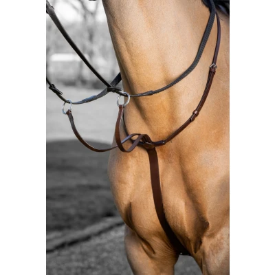 Image de LeMieux Martingale Arika Running Havane/Argent Cob