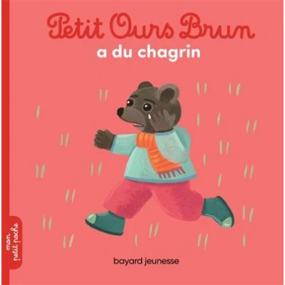 Image de Petit Ours Brun a du chagrin