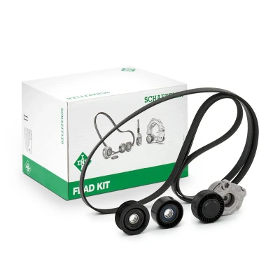 Afbeelding van Poly V riem set INA 529 0484 10